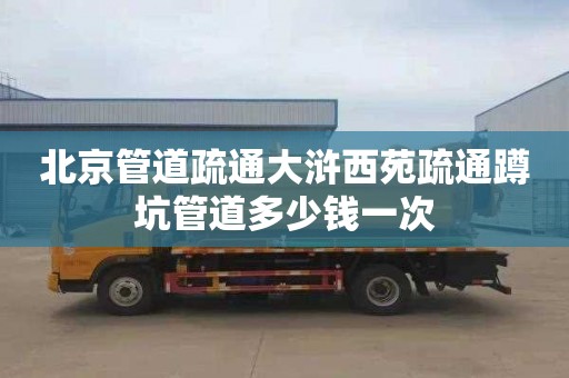 北京管道疏通大浒西苑疏通蹲坑管道多少钱一次
