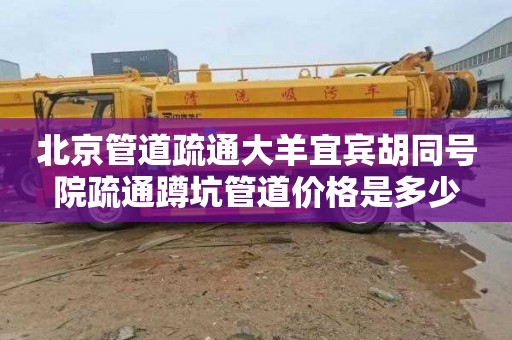 北京管道疏通大羊宜宾胡同号院疏通蹲坑管道价格是多少