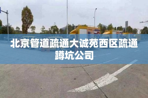 北京管道疏通大诚苑西区疏通蹲坑公司