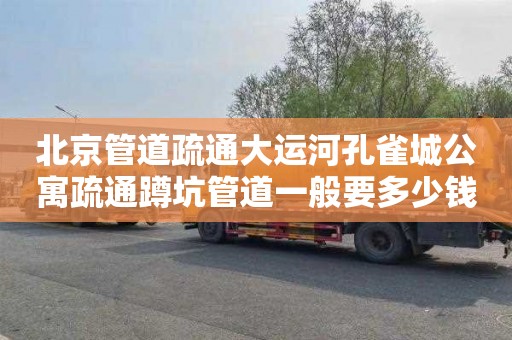 北京管道疏通大运河孔雀城公寓疏通蹲坑管道一般要多少钱