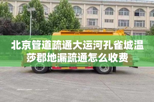 北京管道疏通大运河孔雀城温莎郡地漏疏通怎么收费