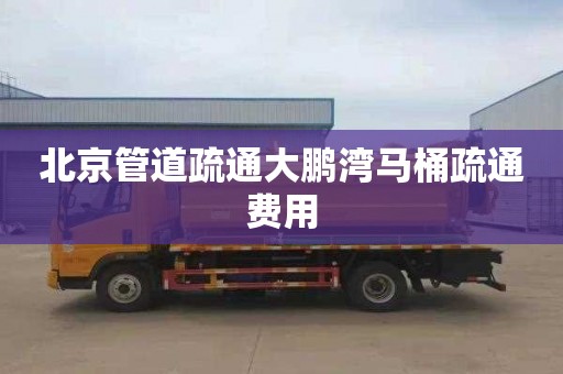 北京管道疏通大鹏湾马桶疏通费用