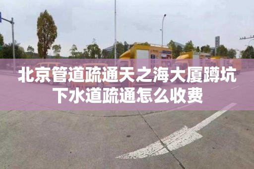 北京管道疏通天之海大厦蹲坑下水道疏通怎么收费
