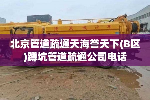北京管道疏通天海誉天下(B区)蹲坑管道疏通公司电话