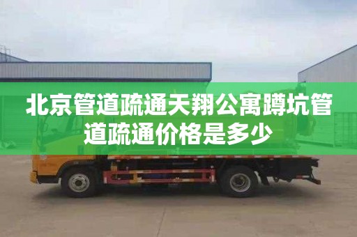北京管道疏通天翔公寓蹲坑管道疏通价格是多少