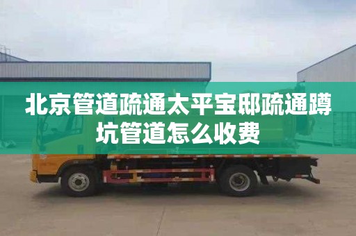 北京管道疏通太平宝邸疏通蹲坑管道怎么收费