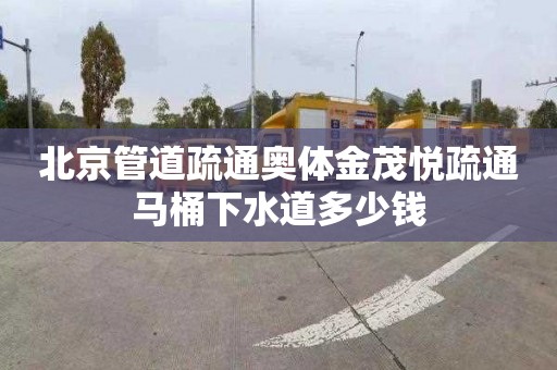北京管道疏通奥体金茂悦疏通马桶下水道多少钱