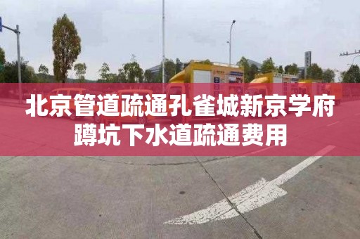 北京管道疏通孔雀城新京学府蹲坑下水道疏通费用