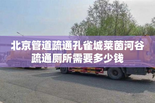 北京管道疏通孔雀城莱茵河谷疏通厕所需要多少钱