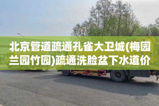 北京管道疏通孔雀大卫城(梅园兰园竹园)疏通洗脸盆下水道价格表