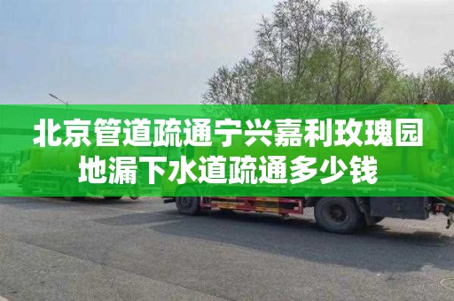 北京管道疏通宁兴嘉利玫瑰园地漏下水道疏通多少钱