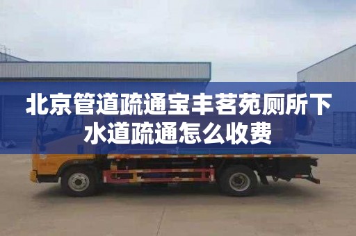 北京管道疏通宝丰茗苑厕所下水道疏通怎么收费