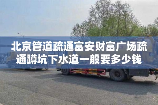 北京管道疏通富安财富广场疏通蹲坑下水道一般要多少钱