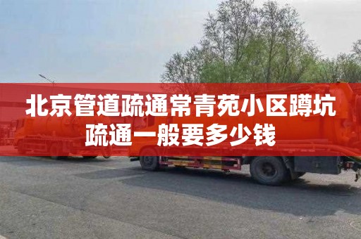 北京管道疏通常青苑小区蹲坑疏通一般要多少钱