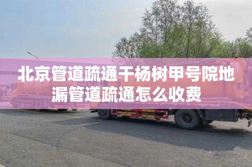 北京管道疏通干杨树甲号院地漏管道疏通怎么收费