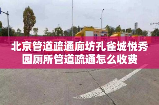 北京管道疏通廊坊孔雀城悦秀园厕所管道疏通怎么收费