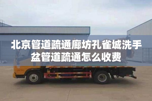 北京管道疏通廊坊孔雀城洗手盆管道疏通怎么收费