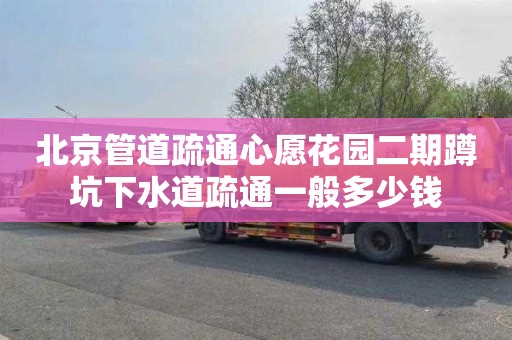 北京管道疏通心愿花园二期蹲坑下水道疏通一般多少钱
