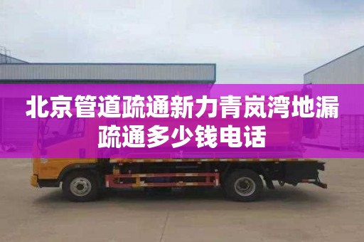 北京管道疏通新力青岚湾地漏疏通多少钱电话