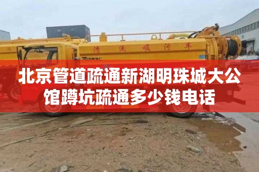 北京管道疏通新湖明珠城大公馆蹲坑疏通多少钱电话