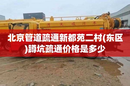 北京管道疏通新都苑二村(东区)蹲坑疏通价格是多少