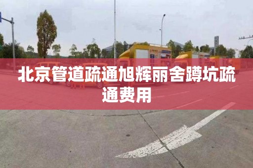 北京管道疏通旭辉丽舍蹲坑疏通费用