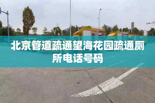 北京管道疏通望海花园疏通厕所电话号码