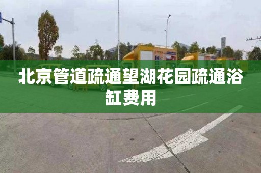 北京管道疏通望湖花园疏通浴缸费用