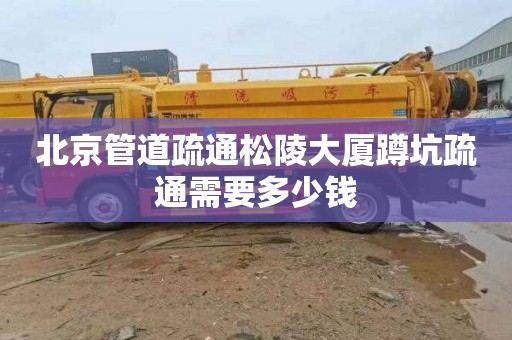 北京管道疏通松陵大厦蹲坑疏通需要多少钱