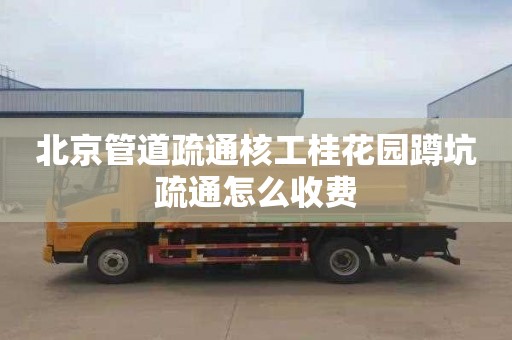北京管道疏通核工桂花园蹲坑疏通怎么收费