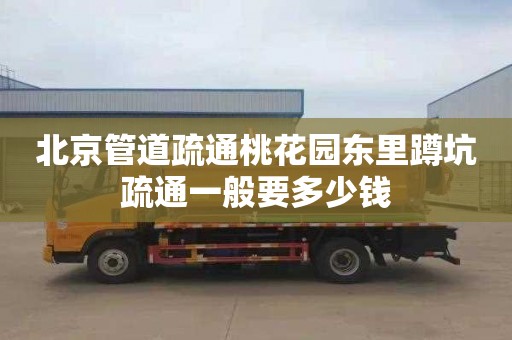 北京管道疏通桃花园东里蹲坑疏通一般要多少钱