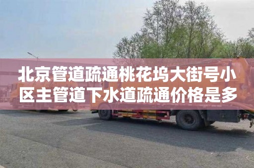 北京管道疏通桃花坞大街号小区主管道下水道疏通价格是多少