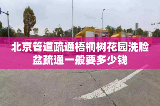 北京管道疏通梧桐树花园洗脸盆疏通一般要多少钱