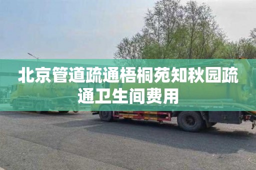 北京管道疏通梧桐苑知秋园疏通卫生间费用