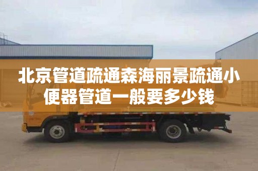 北京管道疏通森海丽景疏通小便器管道一般要多少钱