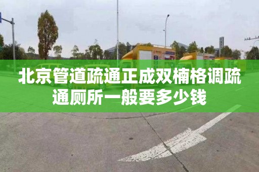 北京管道疏通正成双楠格调疏通厕所一般要多少钱