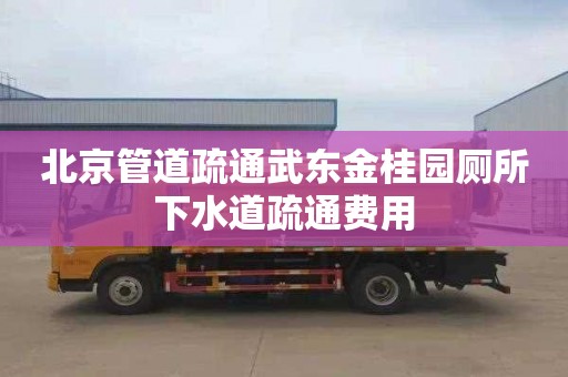 北京管道疏通武东金桂园厕所下水道疏通费用