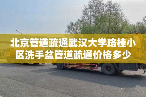 北京管道疏通武汉大学珞桂小区洗手盆管道疏通价格多少