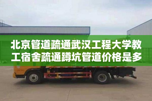 北京管道疏通武汉工程大学教工宿舍疏通蹲坑管道价格是多少