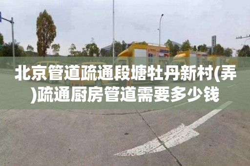 北京管道疏通段塘牡丹新村(弄)疏通厨房管道需要多少钱