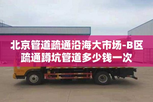 北京管道疏通沿海大市场-B区疏通蹲坑管道多少钱一次