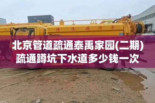 北京管道疏通泰禹家园(二期)疏通蹲坑下水道多少钱一次