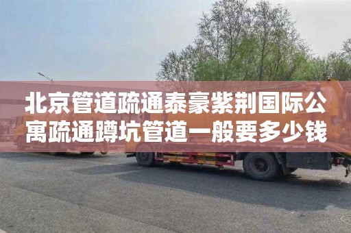 北京管道疏通泰豪紫荆国际公寓疏通蹲坑管道一般要多少钱