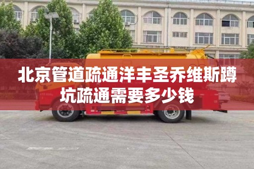 北京管道疏通洋丰圣乔维斯蹲坑疏通需要多少钱