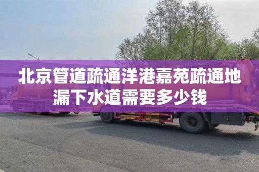 北京管道疏通洋港嘉苑疏通地漏下水道需要多少钱