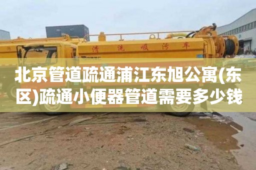 北京管道疏通浦江东旭公寓(东区)疏通小便器管道需要多少钱