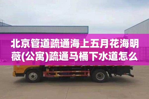 北京管道疏通海上五月花海明薇(公寓)疏通马桶下水道怎么收费