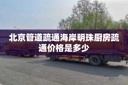 北京管道疏通海岸明珠厨房疏通价格是多少