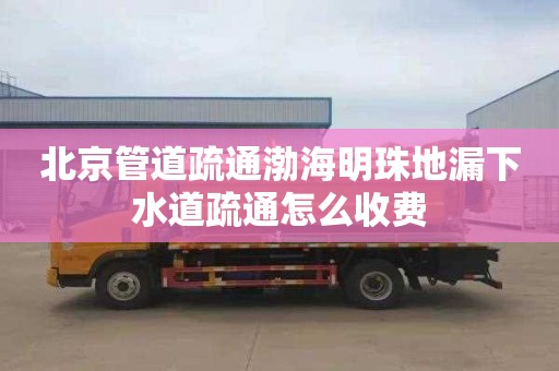 北京管道疏通渤海明珠地漏下水道疏通怎么收费