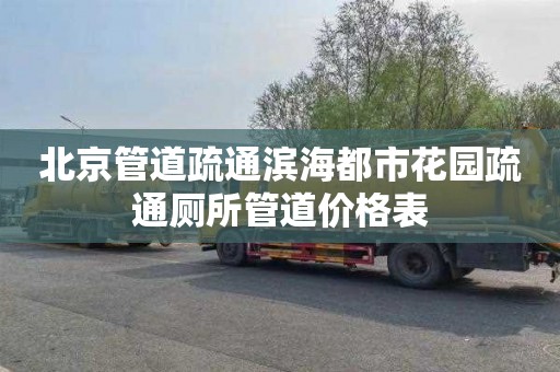 北京管道疏通滨海都市花园疏通厕所管道价格表